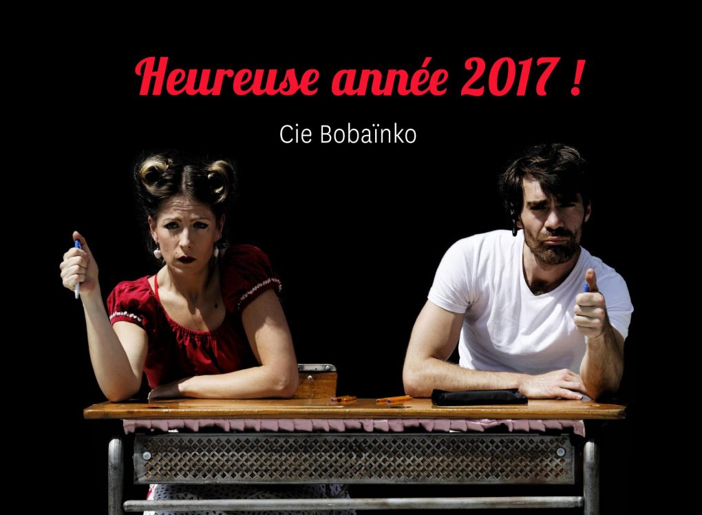 carte-de-voeux-reste-assis-2017